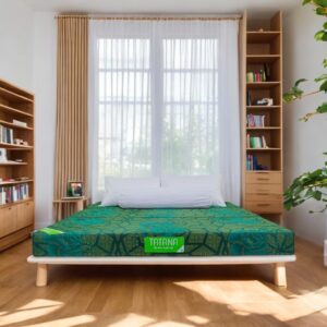 Nệm bông ép Tatana Eva