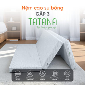 Nệm cao su bông TATANA gấp 3