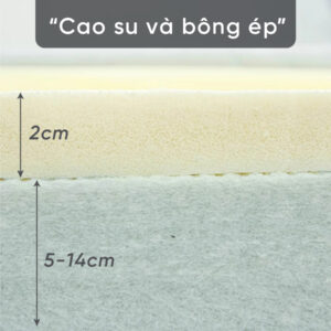 Cấu tạo ruột nệm