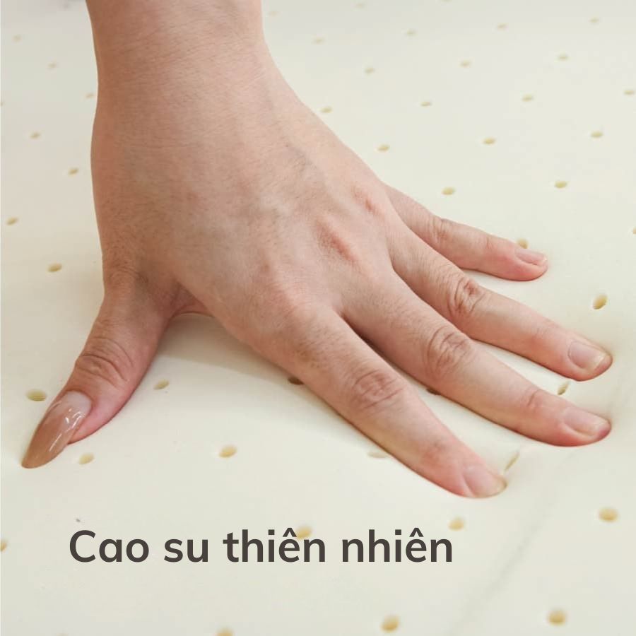 nem-cao-su-bong-tatana-gap-3 (5)