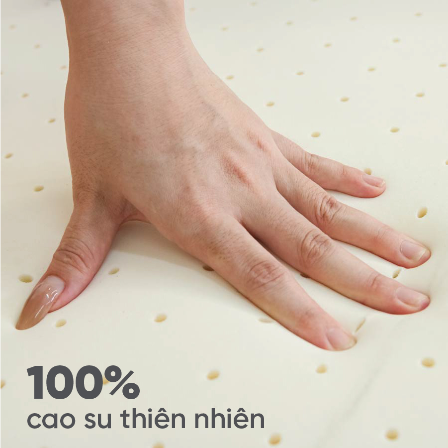 nem-cao-su-bong-tatana-gap-3 (5)