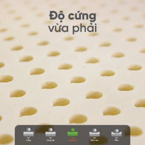 Nệm Cao Su Thiên Nhiên TATANA Cool Fresh