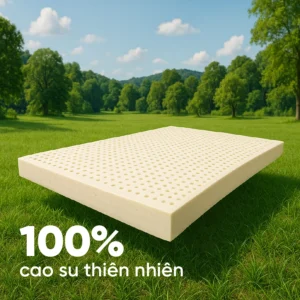 Nệm Cao Su Thiên Nhiên TATANA Cool Fresh