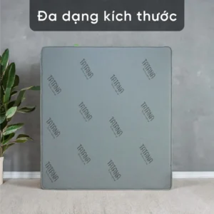 Nệm ép dẻo TATANA