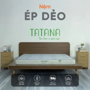 Nệm ép dẻo TATANA
