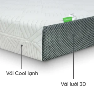 Nệm Foam Massage Advanced TATANA