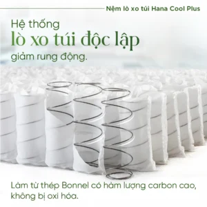 Nệm lò xo túi TATANA Hana Cool Plus