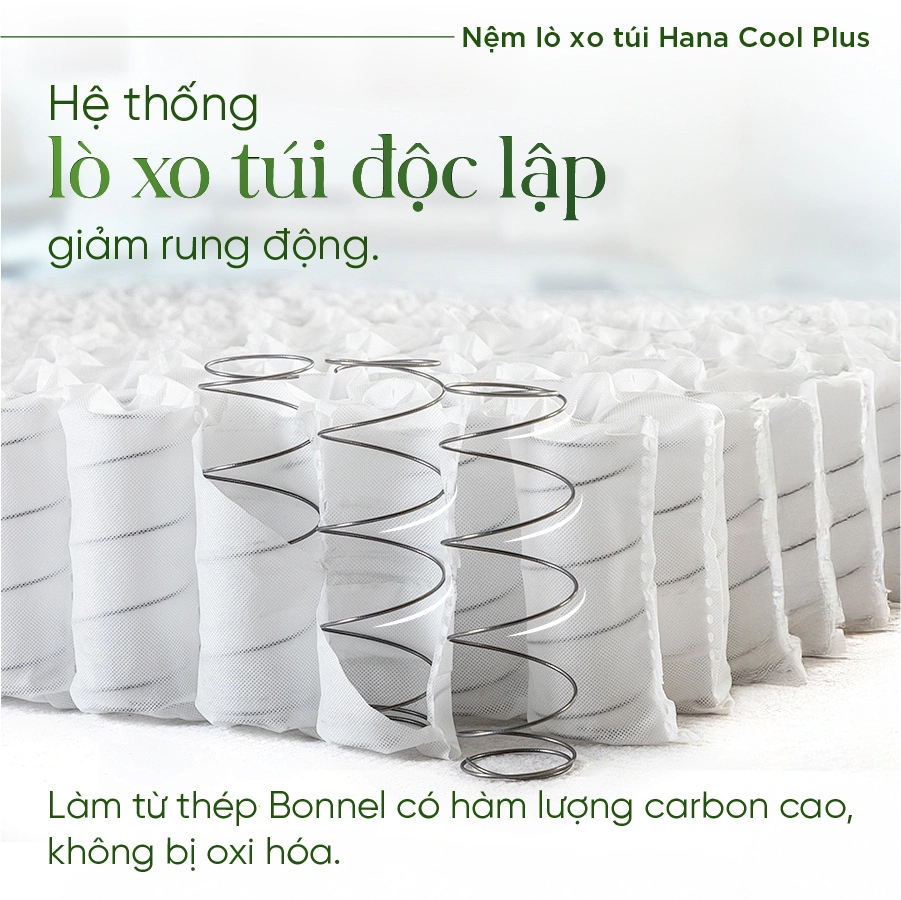 nem-lo-xo-tui-tatana-hana-cool-plus-J8VFBK Nệm lò xo túi TATANA Hana Cool Plus