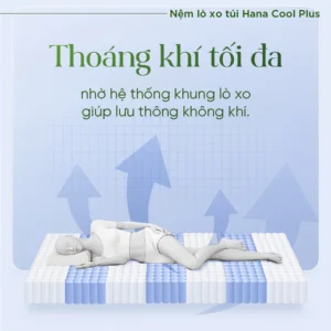 Nệm lò xo túi TATANA Hana Cool Plus