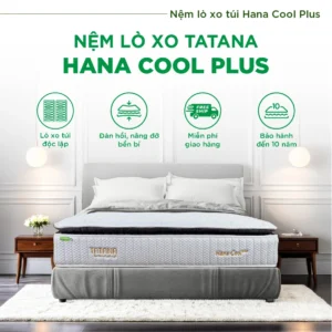 Nệm lò xo túi TATANA Hana Cool Plus