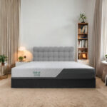 Nệm foam luna cool tatana