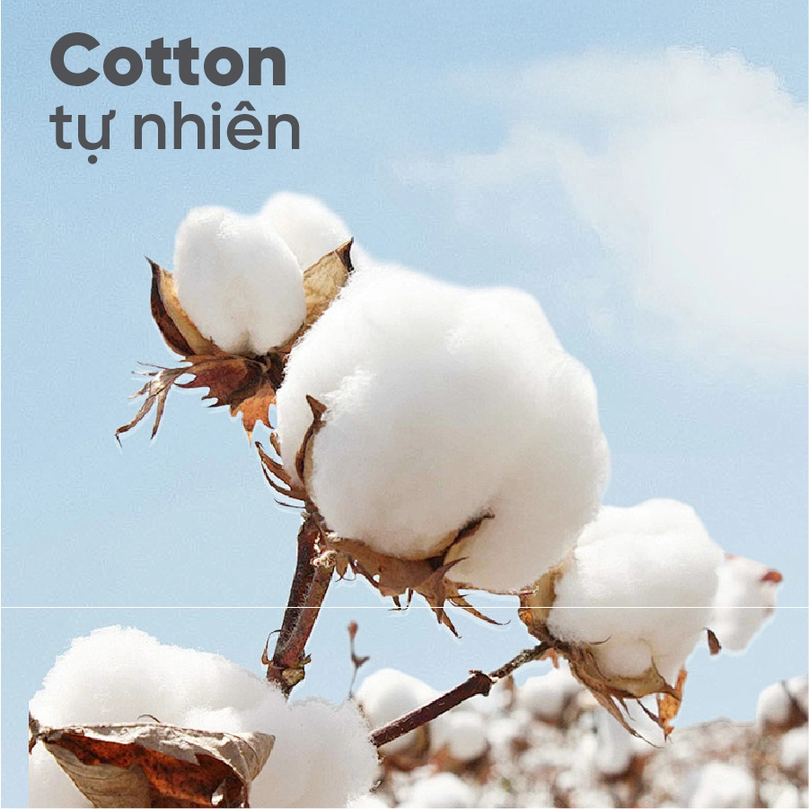 topper-tatana-deluxe-JCWfJV Topper TATANA Deluxe