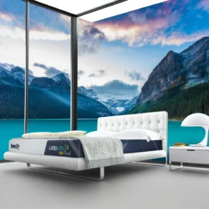 Nệm cao su Dunlopillo Latex World Neo Fresh