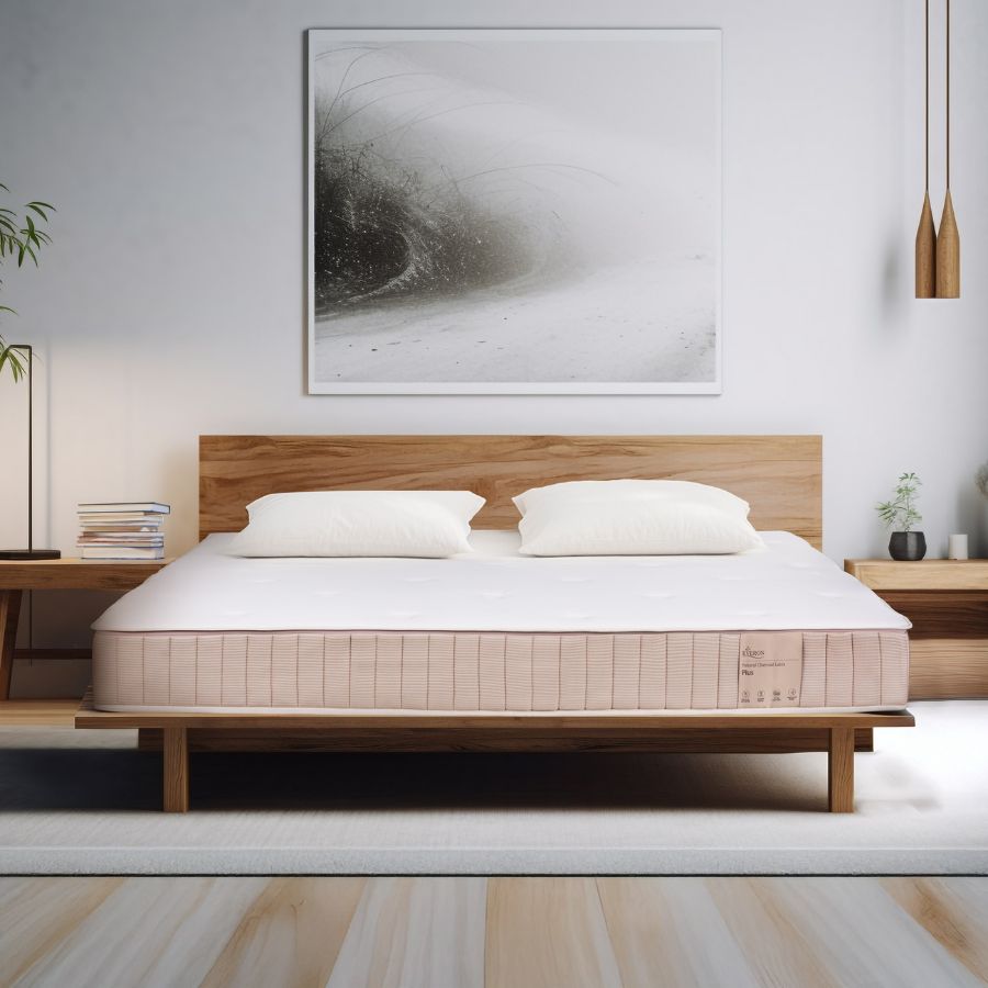 nem-cao-su-everon-natural-charcoal-latex-plus Nệm cao su Everon Natural Charcoal Latex