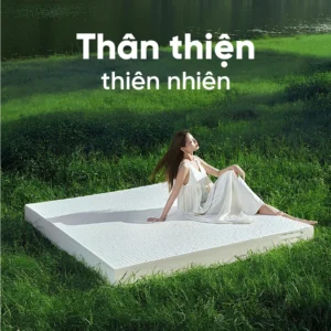 nem cao su kim cuong happy gold 4