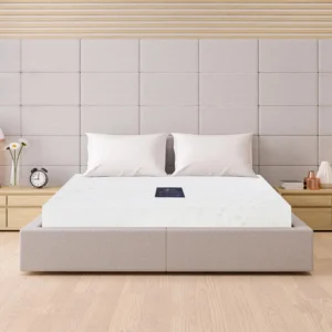 Nệm cao su thiên nhiên Liên Á Five Zone