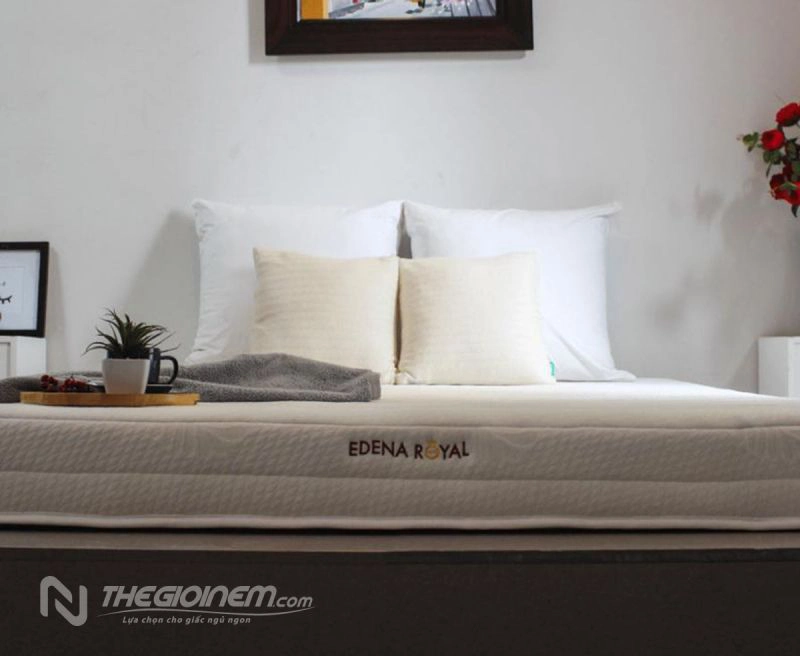 nem-cao-su-nhan-tao-edena-royal-BS6YSL