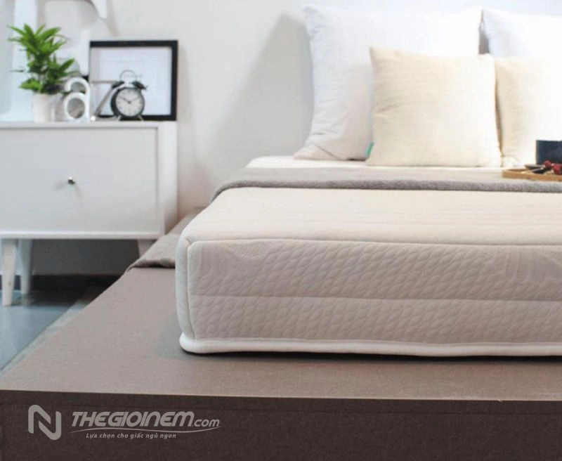 nem-cao-su-nhan-tao-edena-royal-NNhRPF