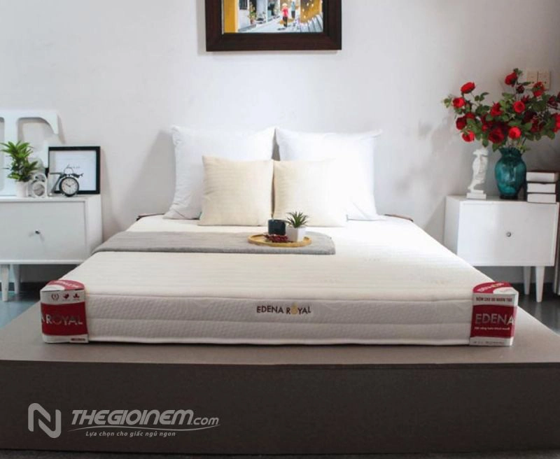 nem-cao-su-nhan-tao-edena-royal-UybM8f