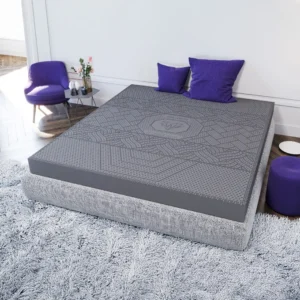 Nệm cao su than hoạt tính Kim Cương 5Zone Biolux