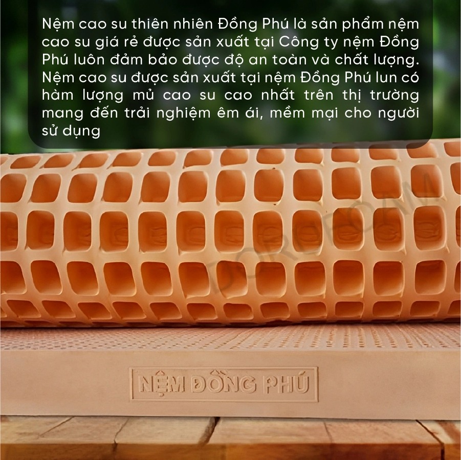 nem-cao-su-thien-nhien-gap-dong-phu-6fRRmd