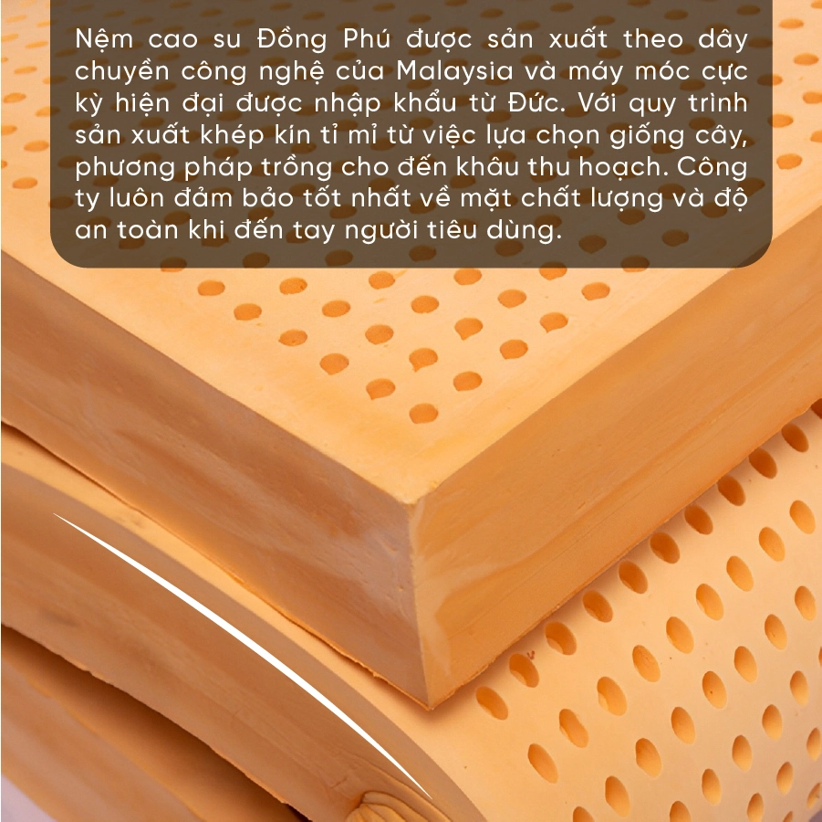 nem-cao-su-thien-nhien-gap-dong-phu-HAYpyI