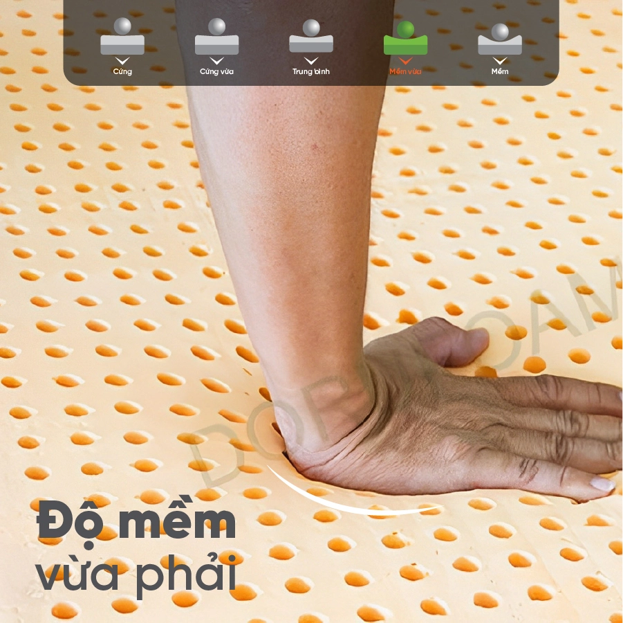 nem-cao-su-thien-nhien-gap-dong-phu-ygBGBL