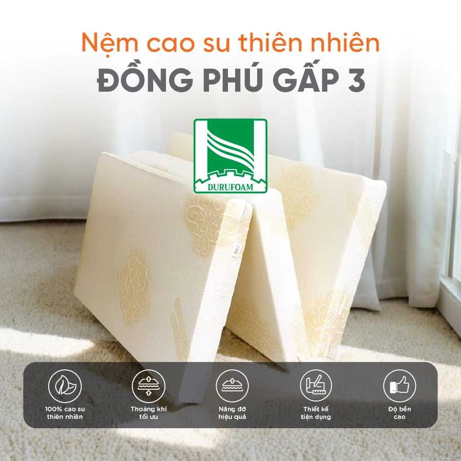 nem-cao-su-thien-nhien-gap-dong-phu-zRkV2g
