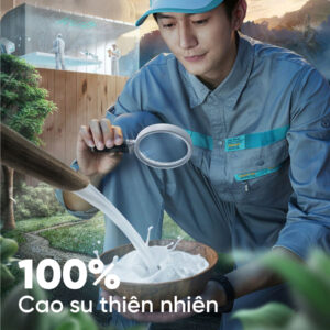 nem cao su thien nhien kim cuong 5zone aloe lux 3