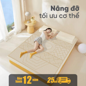 nem cao su thien nhien kim cuong 5zone aloe lux 4