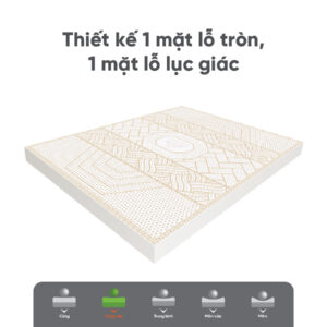 nem cao su thien nhien kim cuong 5zone aloe lux 6