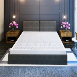 Nệm cao su thiên nhiên Kim Cương Coolux - 7Zone Gel Mát