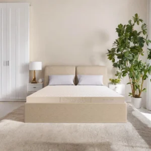 Nệm cao su thiên nhiên Kim Cương Luxury