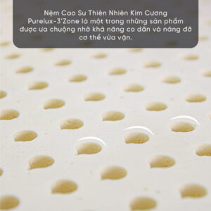 nem cao su thien nhien kim cuong pure lux 3zone 2