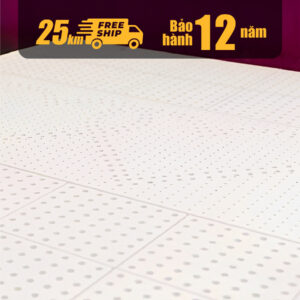 nem cao su thien nhien kim cuong pure lux 3zone 3