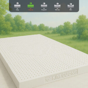 nem cao su thien nhien kim cuong pure lux 3zone 5