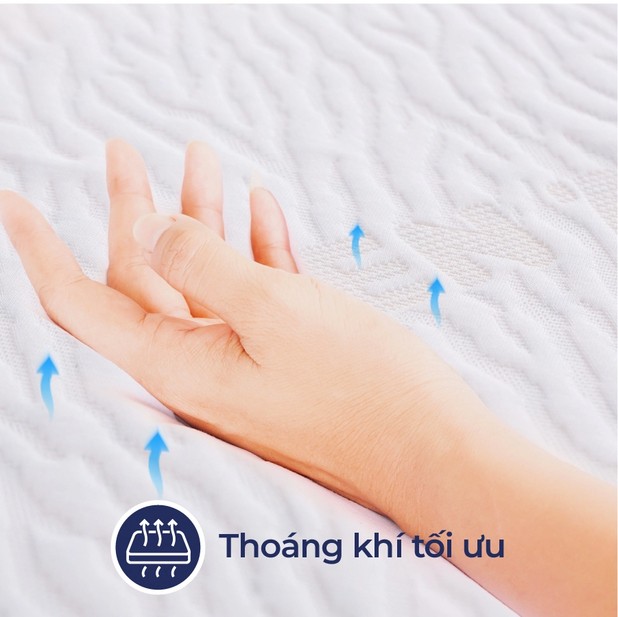 nem-cao-su-thien-nhien-lien-a-classic-IRNZ3x