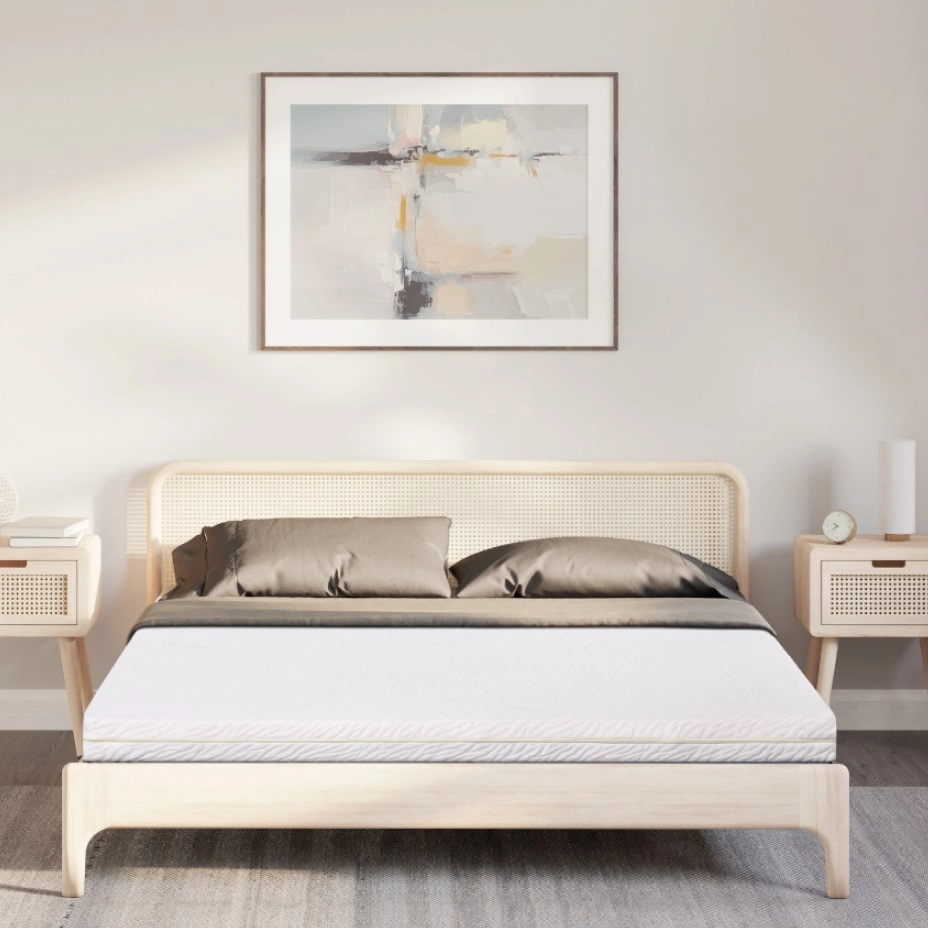 nem-cao-su-thien-nhien-lien-a-classic-zTIUsT