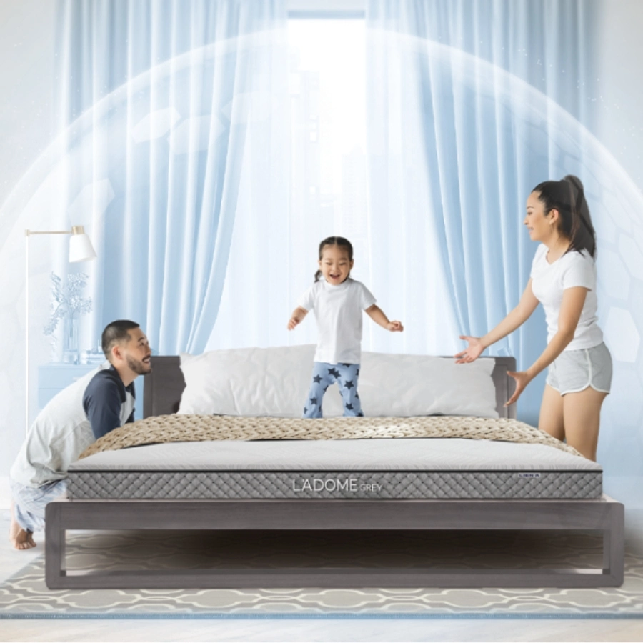 nem-cao-su-thien-nhien-lien-a-ladome-grey-LhFdKU