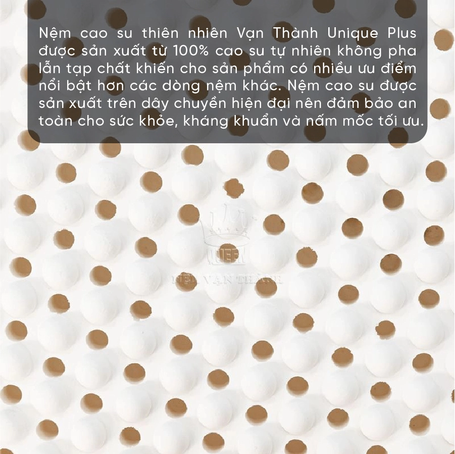 nem-cao-su-thien-nhien-van-thanh-unique-plus-1XSGU6