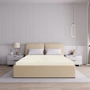 Nệm cao su thiên nhiên Vạn Thành Standard