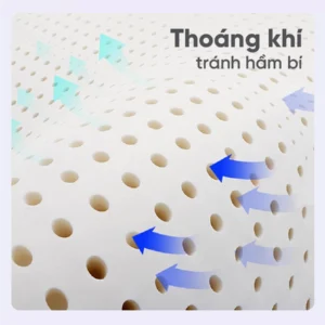 Nệm cao su thiên nhiên Vạn Thành Standard