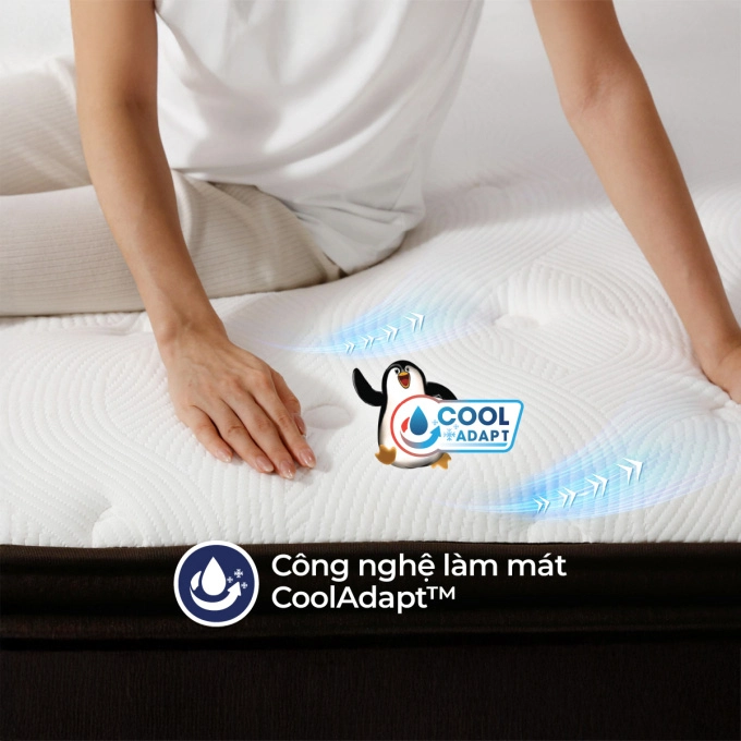 nem-lo-xo-lien-a-cocoon-20-luxe-qKC9Z6