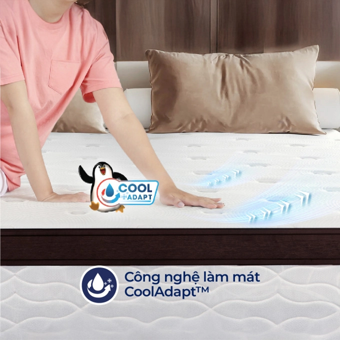 nem-lo-xo-lien-a-cocoon-20-premium-FLfQaX