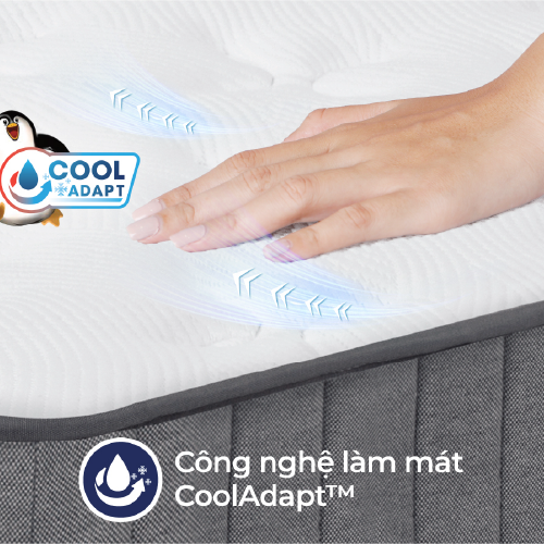 nem-lo-xo-lien-a-cocoon-grey (5)