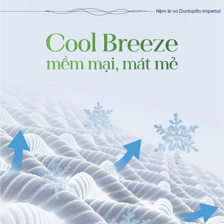 nem-lo-xo-tui-dunlopillo-imperial-2KnEmt