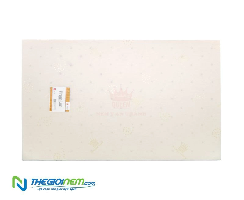 nem-mousse-premium-van-thanh-bh-12-nam-yNW6pp (1)