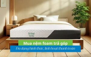 mua nem foam tra gop