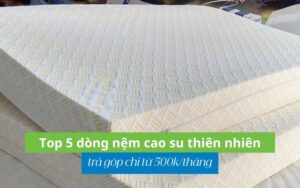 nệm cao su thiên nhiên trả góp