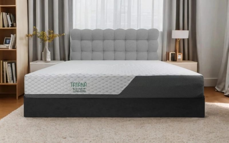 Nệm Foam TATANA Luna Cool
